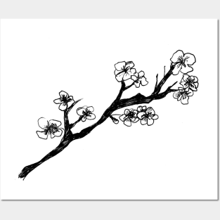 Cherry Blossom Posters and Art
